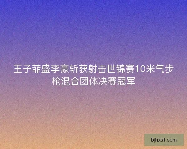 王子菲盛李豪斩获射击世锦赛10米气步枪混合团体决赛冠军